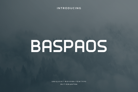 Baspaos: A Designer’s Take on Its Real-World Use