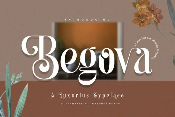 How a Stylish Serif Font Transformed My Small Business Branding