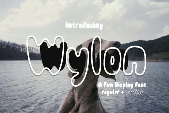 Wylon: A Cheerful Display Font for Branding Projects That Need a Cute Touch